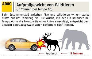 Wildunf&auml;lle reduzieren