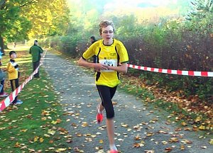 Stadtparklauf