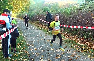 Stadtparklauf