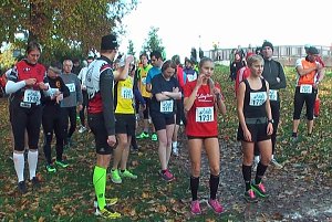 Stadtparklauf