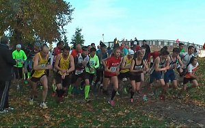 Stadtparklauf
