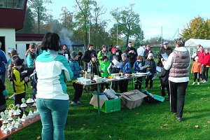 Stadtparklauf