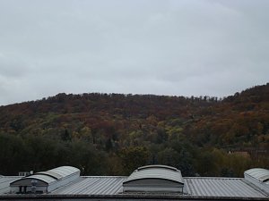 Goldener Herbst und buntes Laub