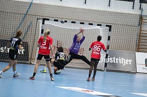 THC gewinnt gegen Hypo Nieder&ouml;sterreich