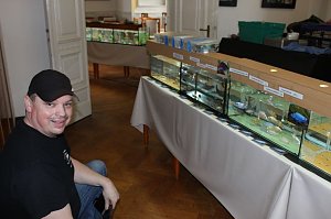 Zierfischb&ouml;rse und Terrarienb&ouml;rse...