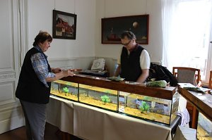 Zierfischb&ouml;rse und Terrarienb&ouml;rse...