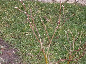 War�s das jetzt mit dem Winter?!