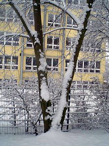Winter in Artern