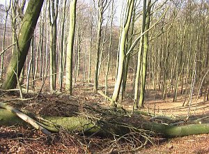 Steinberg-Rundweg meiden