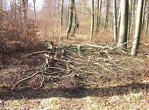 Steinberg-Rundweg meiden