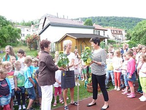 Schulgarten eingeweiht