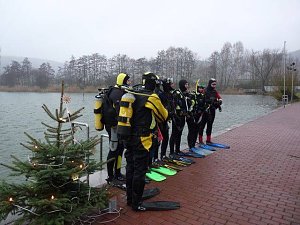 Weihnachtstauchen im Bebraer Teich