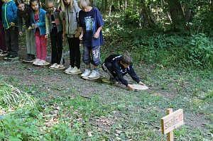 Waldjugendspiele am Rathsfeld