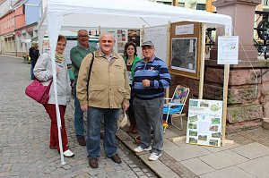 Besuch beim Pflanzenmarkt lohnt