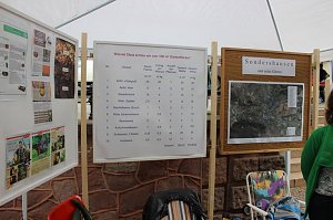 Besuch beim Pflanzenmarkt lohnt