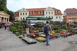 Besuch beim Pflanzenmarkt lohnt
