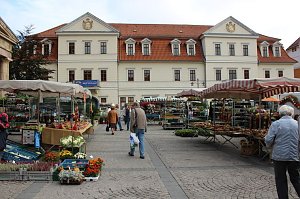 Besuch beim Pflanzenmarkt lohnt
