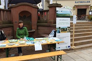 Besuch beim Pflanzenmarkt lohnt