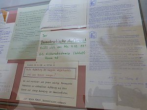 Wir sind das Volk!,