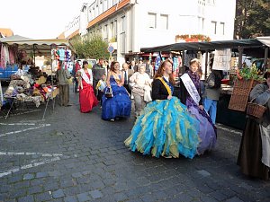 Zwiebeln &uuml;ber Zwiebeln