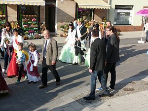 Zwiebeln &uuml;ber Zwiebeln