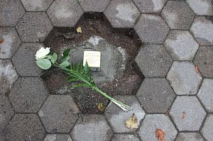 Stolpersteine in Sondershausen verlegt