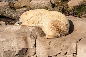 Besuch im Zoo am Meer