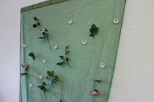 Erntedankfest im HOC