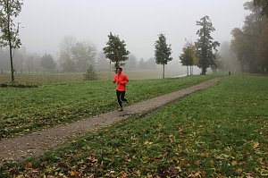 Stadtparklauf in Sondershausen