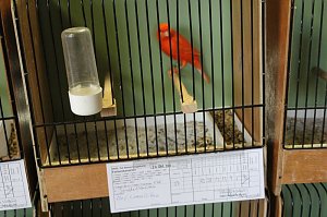 Zauberhafte Ausstellung