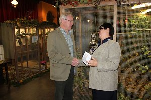Zauberhafte Ausstellung