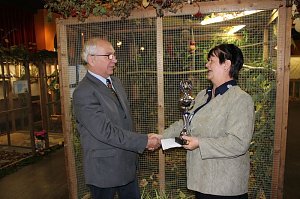Zauberhafte Ausstellung