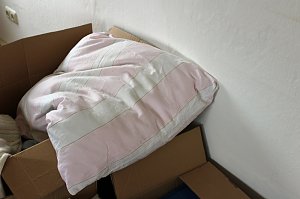Flüchtlinge