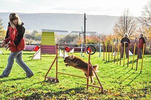 Agility Fun-Turnier in der Hundeschule ABC