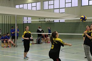 Jugend trainiert f&uuml;r Olympia