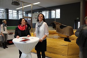 Aus Tr&auml;umen wird Wirklichkeit
