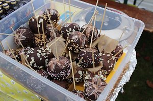 8. Tannenfest in Oberspier
