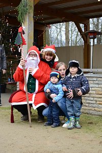 Weihnachtsromantik am Teich