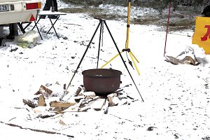 Schlittenhunderennen in Benneckenstein