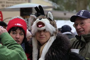 Schlittenhunderennen in Benneckenstein