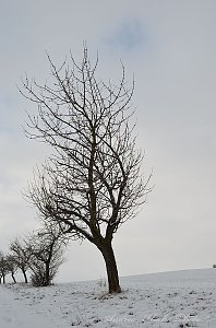 Winter in Greu&szlig;en
