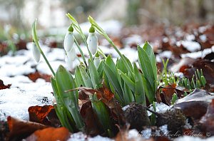 Winter in Greu&szlig;en