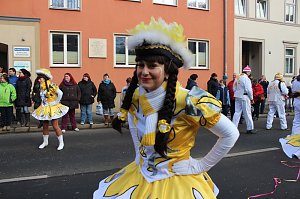 Närrinnen und Narren zogen durch Sondershausen (2)