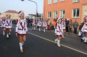 Närrinnen und Narren zogen durch Sondershausen (2)