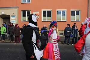 Närrinnen und Narren zogen durch Sondershausen (2)