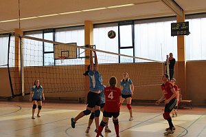 Neues vom Volleyball