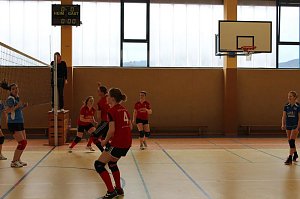 Neues vom Volleyball