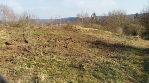 NABU-Kyffh&auml;userkreis- Aktuell:
