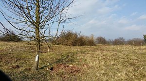 NABU-Kyffh&auml;userkreis- Aktuell: