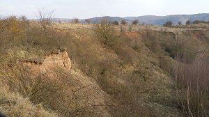 NABU-Kyffh&auml;userkreis- Aktuell: